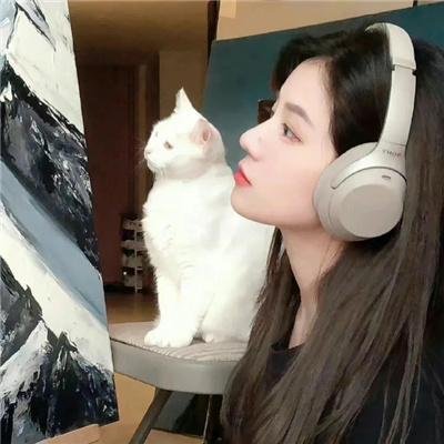 蒂科与鲨鱼
